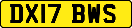 DX17BWS