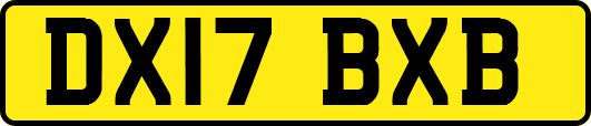 DX17BXB