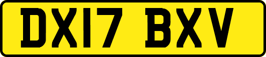 DX17BXV