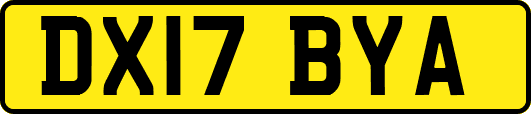 DX17BYA