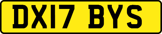 DX17BYS