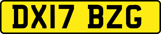 DX17BZG