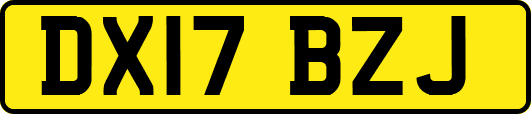 DX17BZJ