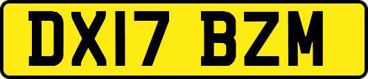 DX17BZM