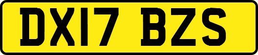 DX17BZS
