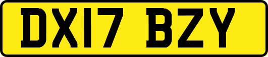 DX17BZY