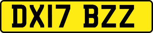 DX17BZZ