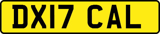 DX17CAL