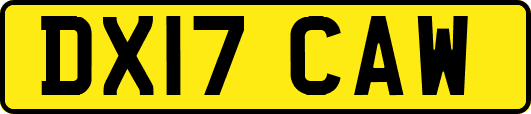 DX17CAW