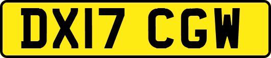 DX17CGW