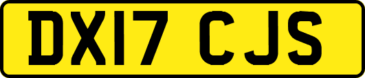 DX17CJS