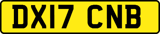 DX17CNB