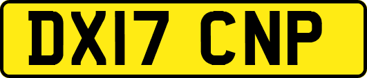 DX17CNP