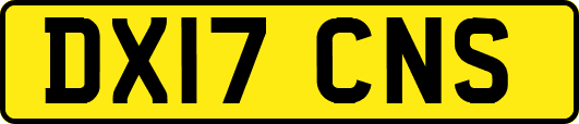 DX17CNS