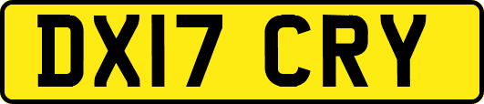 DX17CRY