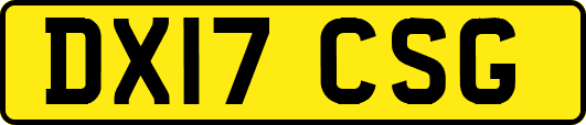 DX17CSG
