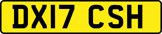 DX17CSH
