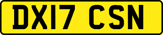 DX17CSN