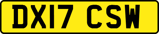 DX17CSW