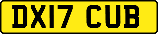 DX17CUB