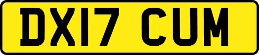 DX17CUM