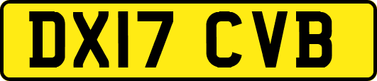 DX17CVB
