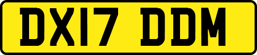 DX17DDM