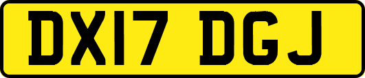 DX17DGJ