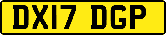 DX17DGP