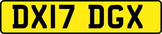 DX17DGX