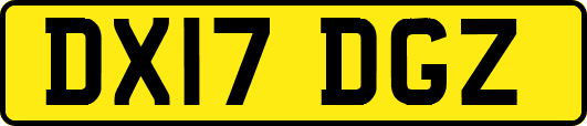 DX17DGZ