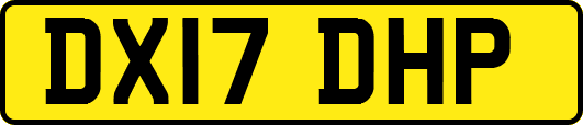 DX17DHP