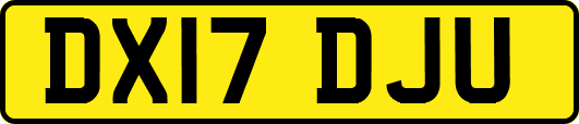 DX17DJU
