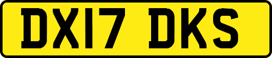 DX17DKS