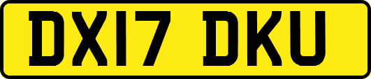 DX17DKU
