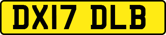DX17DLB