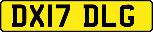 DX17DLG
