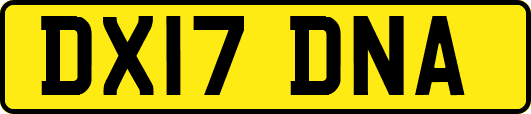 DX17DNA