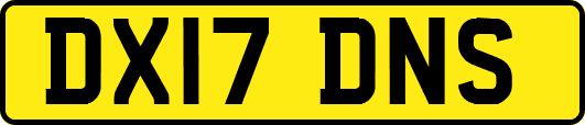 DX17DNS