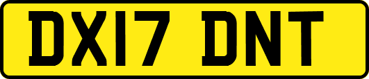 DX17DNT