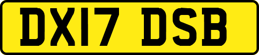 DX17DSB