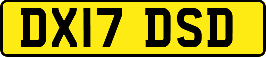 DX17DSD