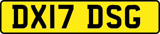 DX17DSG