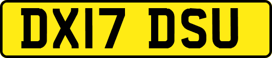 DX17DSU
