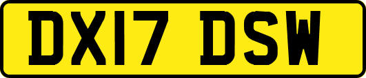 DX17DSW