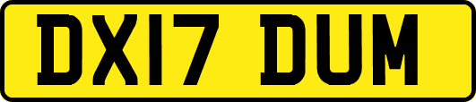 DX17DUM