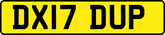 DX17DUP