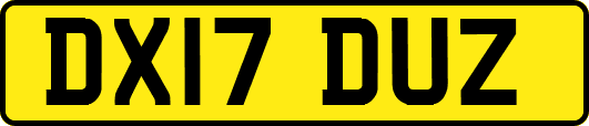 DX17DUZ
