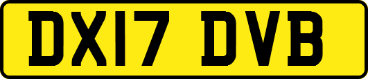 DX17DVB