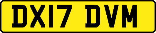 DX17DVM